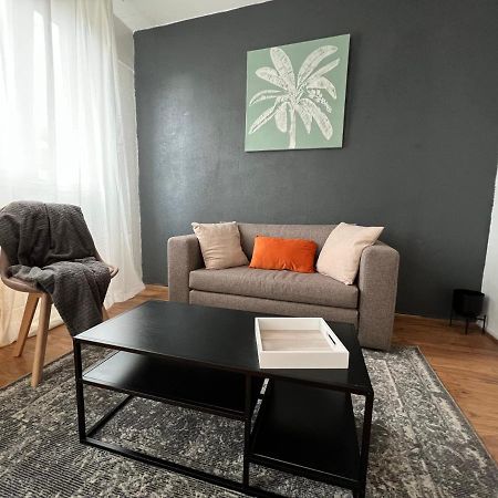 Mon Palmier Grand Appartement Parking Un-Sejour-A-Part Metz Dış mekan fotoğraf