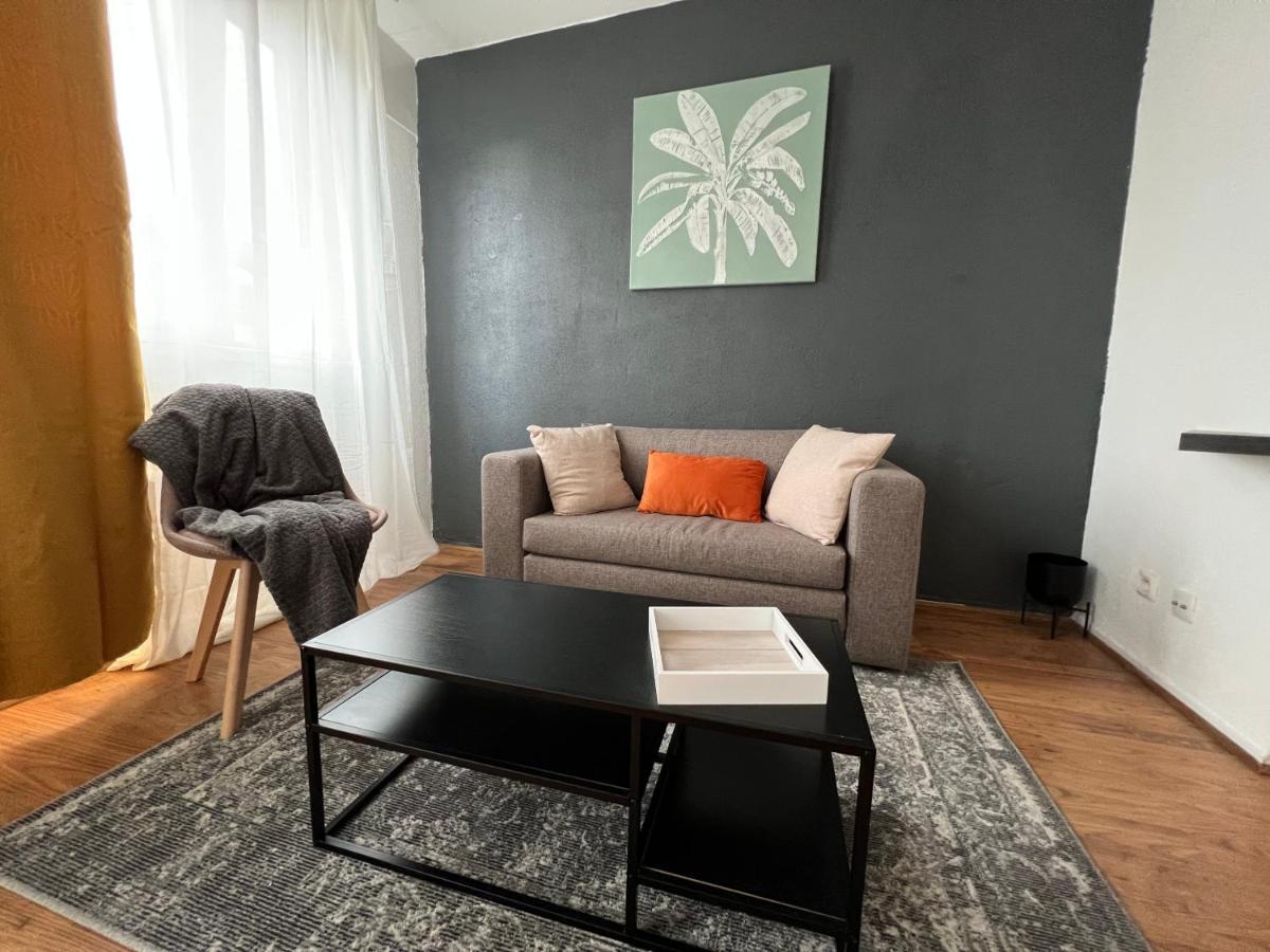 Mon Palmier Grand Appartement Parking Un-Sejour-A-Part Metz Dış mekan fotoğraf