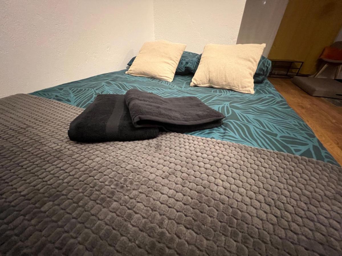 Mon Palmier Grand Appartement Parking Un-Sejour-A-Part Metz Dış mekan fotoğraf