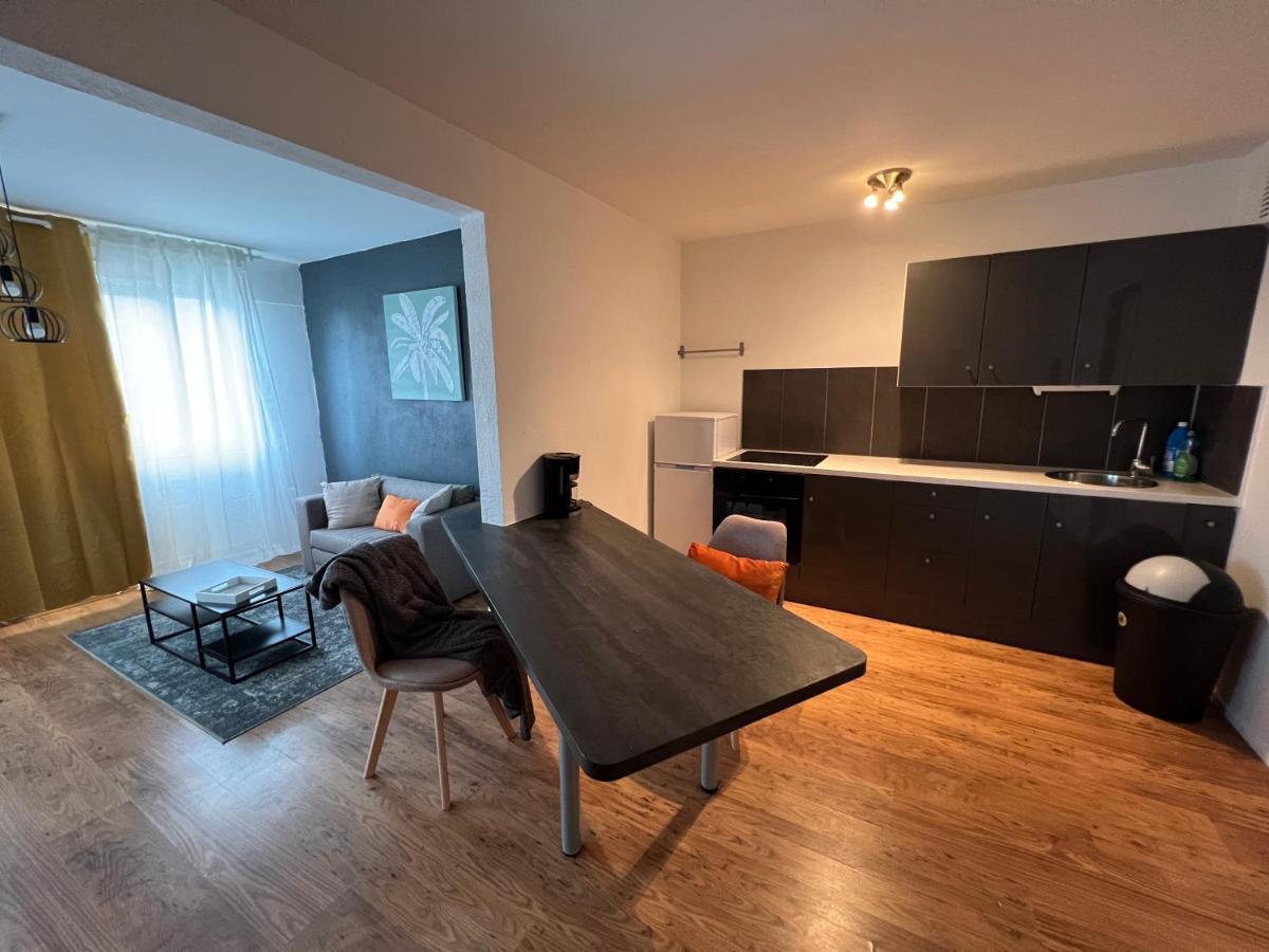 Mon Palmier Grand Appartement Parking Un-Sejour-A-Part Metz Dış mekan fotoğraf